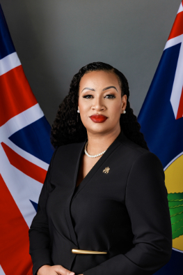 Her Excellency Anya Williams